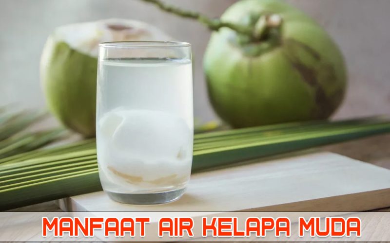 MANFAAT AIR KELAPA MUDA