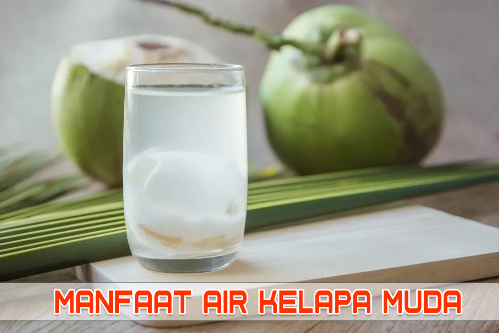 MANFAAT AIR KELAPA MUDA