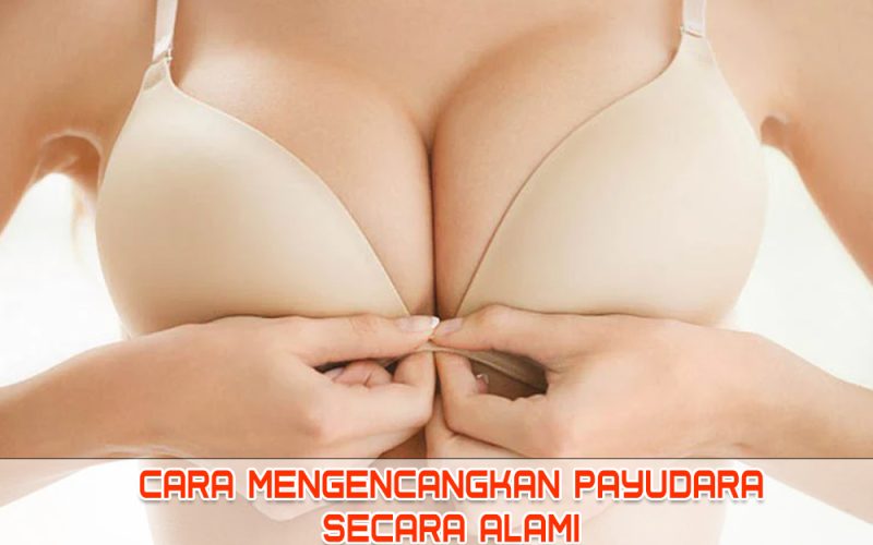 CARA MENGENCANGKAN PAYUDARA